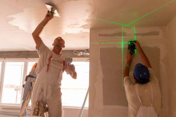 Best Black Mold Removal  in Fox Island, WA